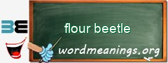 WordMeaning blackboard for flour beetle